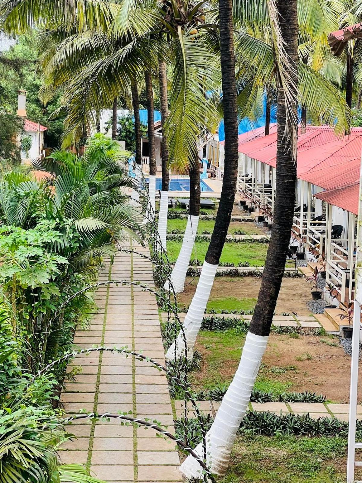 Arabian Sea Beach Resort Morjim Extérieur photo