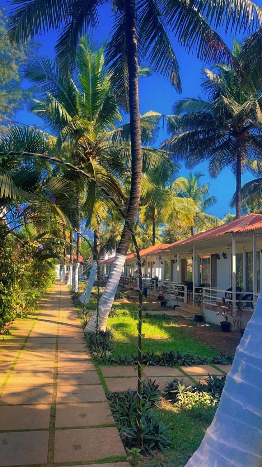 Arabian Sea Beach Resort Morjim Extérieur photo